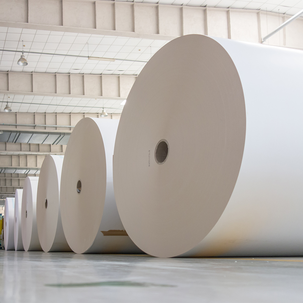 Newsprint Rolls
